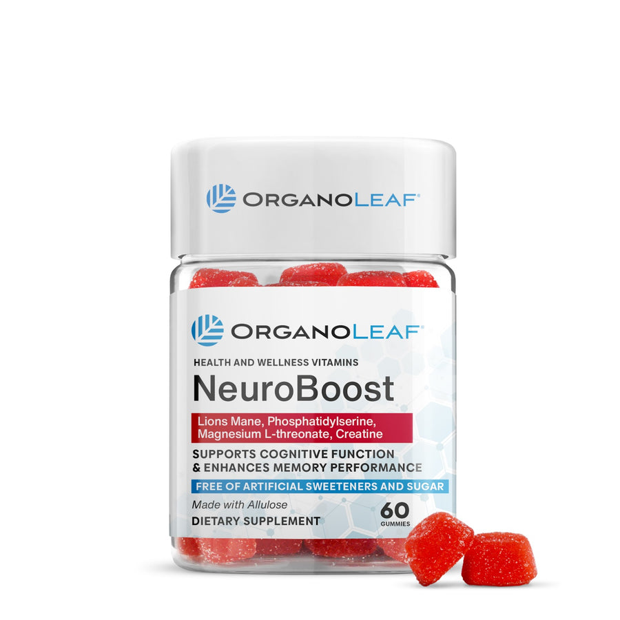 NeuroBoost : Lions Main, Phosphatidylserine, Magnesium L-threonate, Creatine